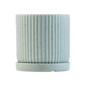 כלי גינון עם קוטר 10 ס"מ, עיצוב פשוט ועמיד, מתאים לגידול צמחים בינוניים או כעציץ דקורטיבי