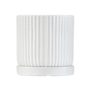 כלי גינון עם קוטר 10 ס"מ, עיצוב פשוט ועמיד, מתאים לגידול צמחים בינוניים או כעציץ דקורטיבי