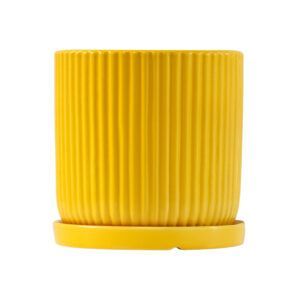 כלי גינון עם קוטר 10 ס"מ, עיצוב פשוט ועמיד, מתאים לגידול צמחים בינוניים או כעציץ דקורטיבי