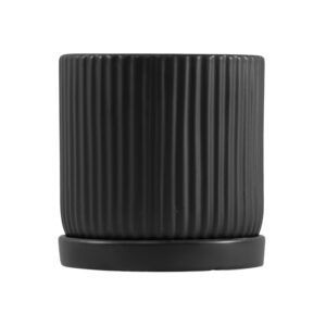 כלי גינון עם קוטר 10 ס"מ, עיצוב פשוט ועמיד, מתאים לגידול צמחים בינוניים או כעציץ דקורטיבי