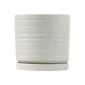 כלי גינון עם קוטר 12 ס"מ, עיצוב רחב ועמיד המתאים לגידול צמחים בינוניים או כעציץ דקורטיבי