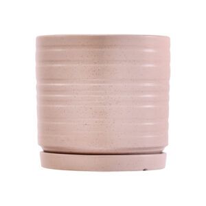 כלי גינון עם קוטר 12 ס"מ, עיצוב רחב ועמיד המתאים לגידול צמחים בינוניים או כעציץ דקורטיבי