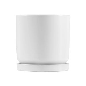 כלי גינון עם קוטר 12 ס"מ, עיצוב רחב ועמיד המתאים לגידול צמחים בינוניים או כעציץ דקורטיבי