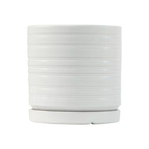 כלי גינון עם קוטר 12 ס"מ, עיצוב רחב ועמיד המתאים לגידול צמחים בינוניים או כעציץ דקורטיבי