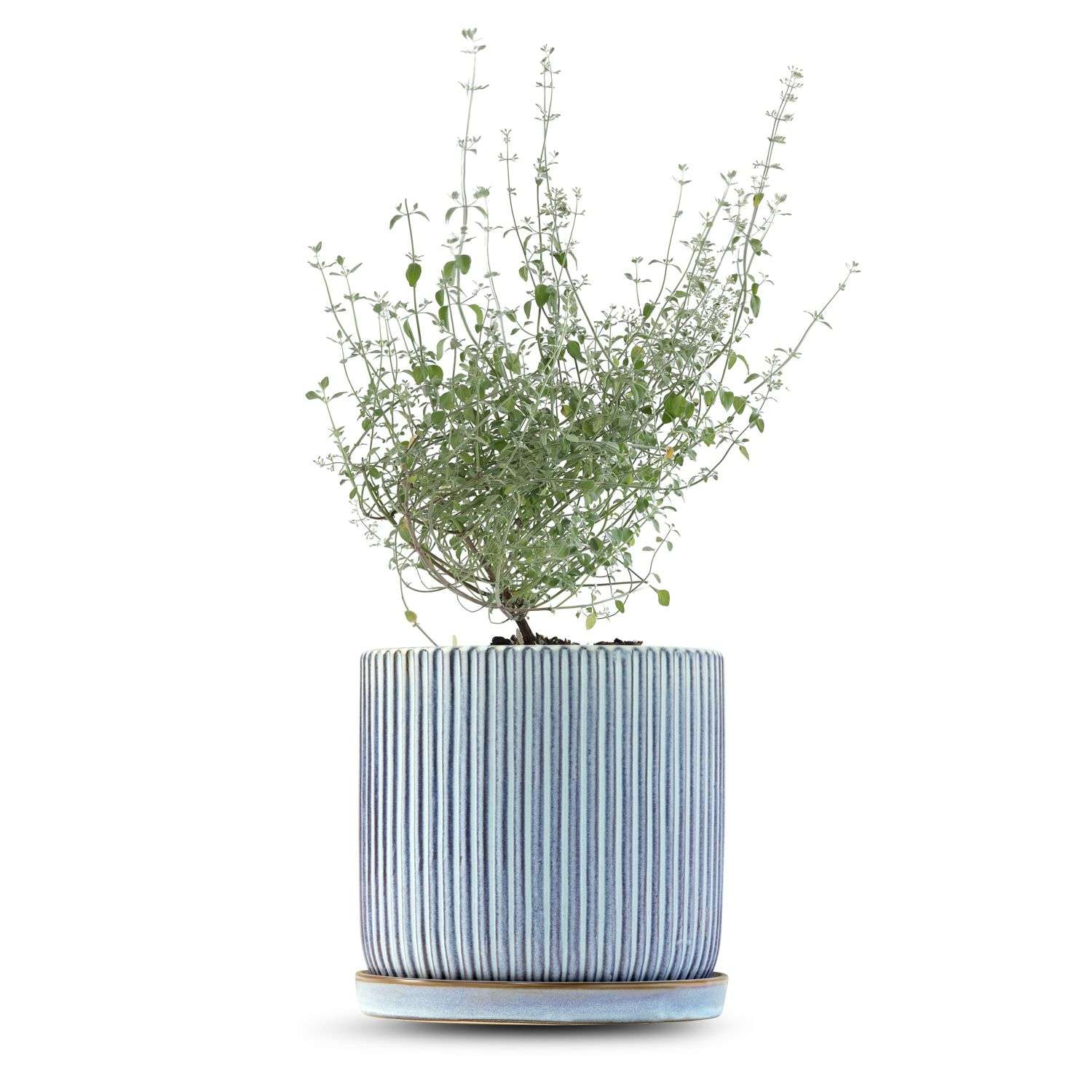 כלי כחול שמיים