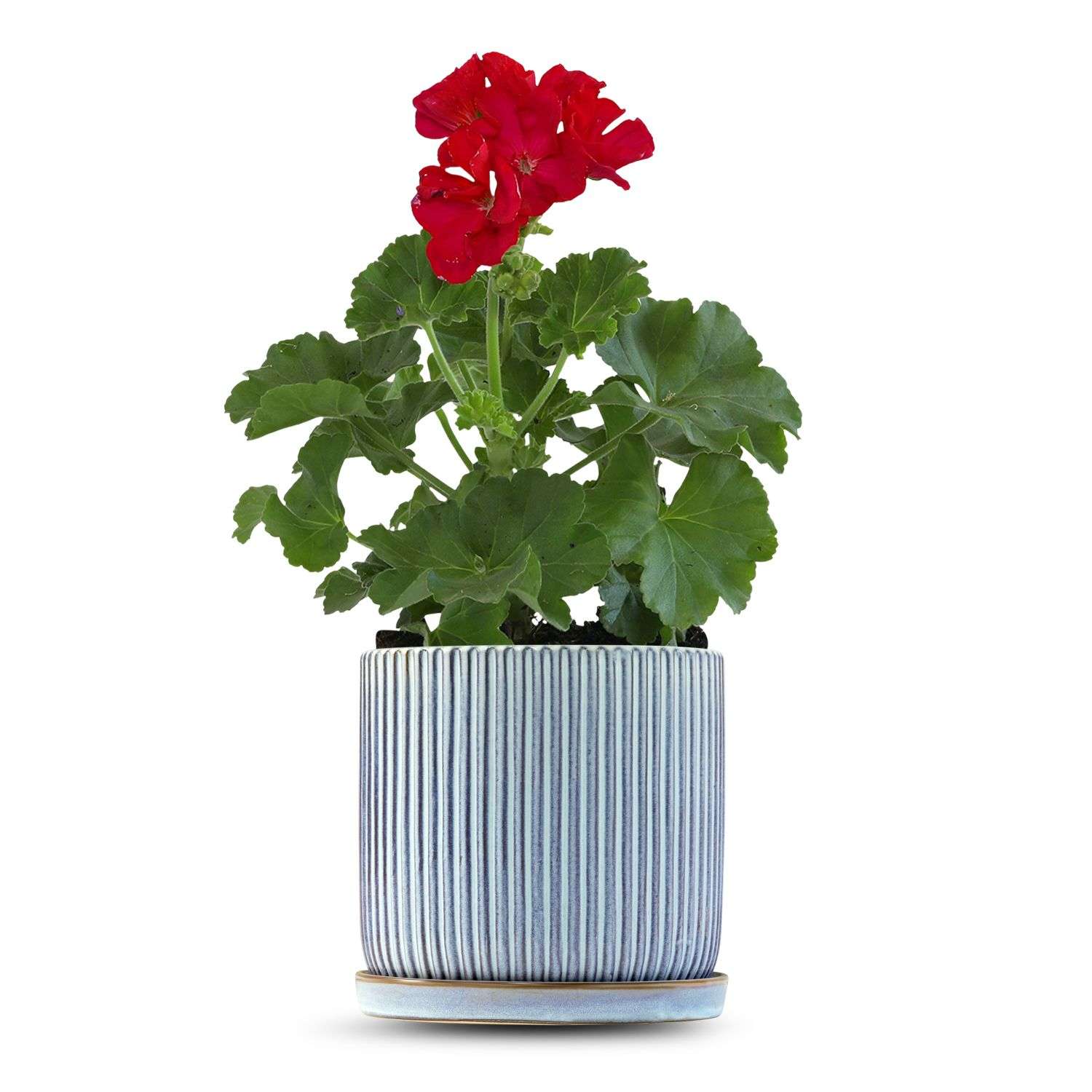 כלי כחול שמיים