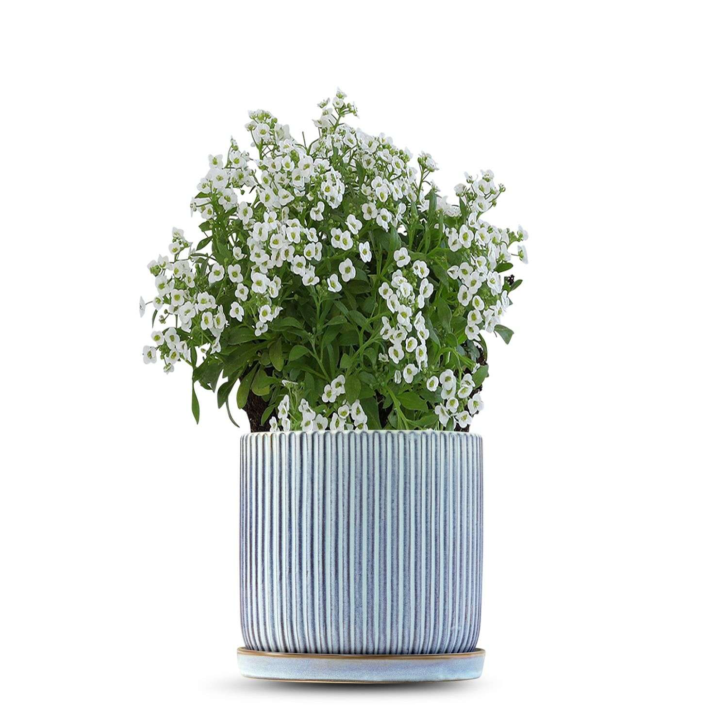 כלי כחול שמיים