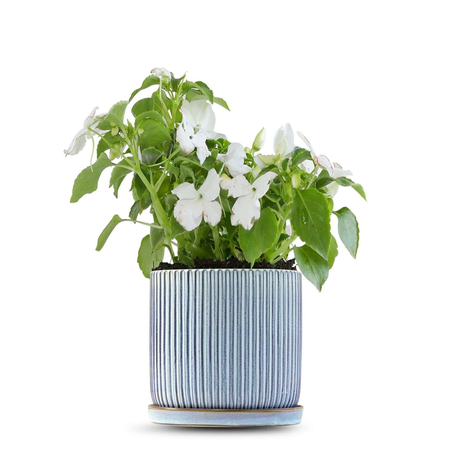 כלי כחול שמיים