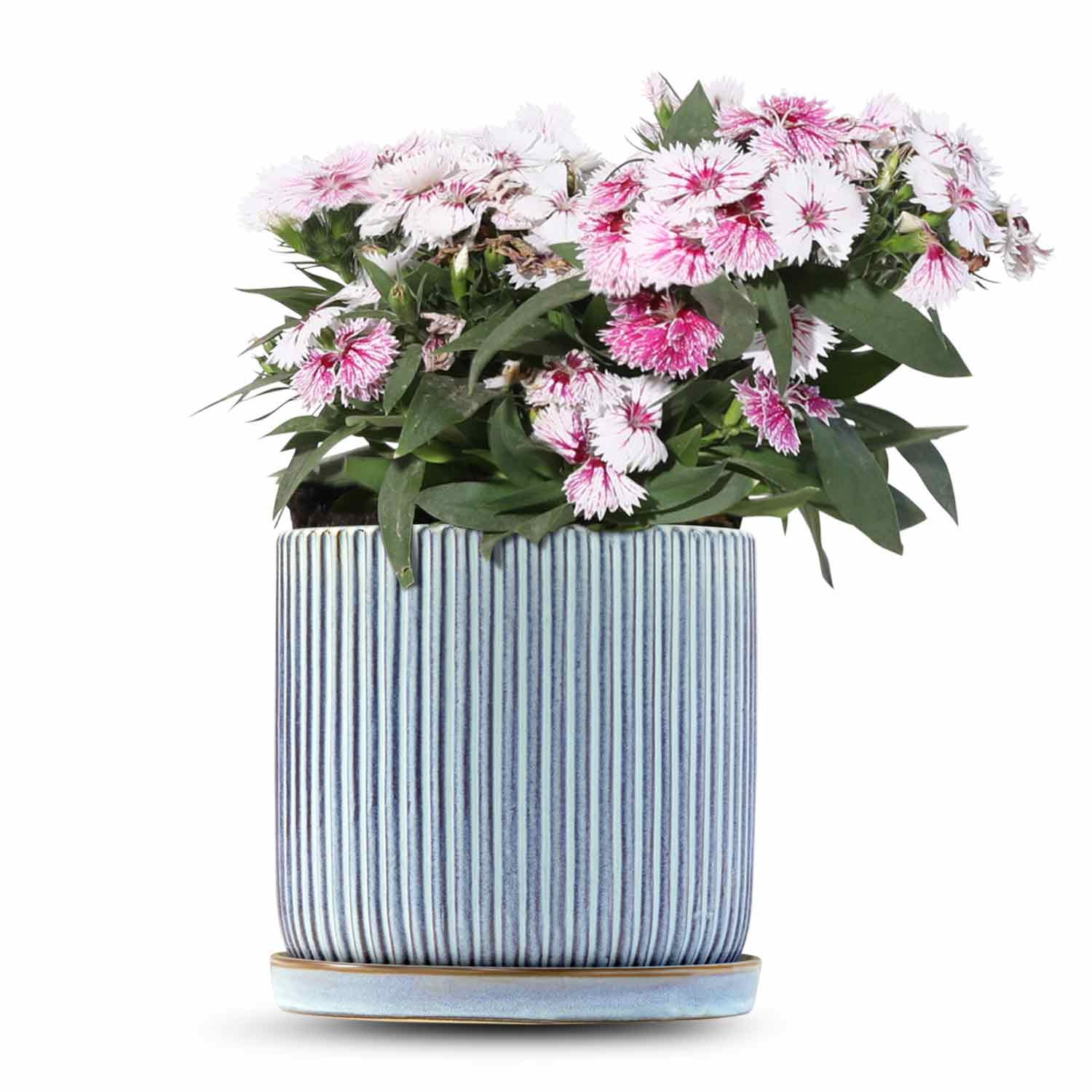 כלי כחול שמיים