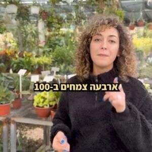 בחרו 4 צמחים ב-99 ש"ח