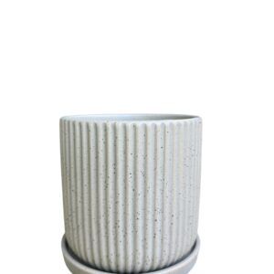 כלי קוטר 12 אפור פסים נקודות