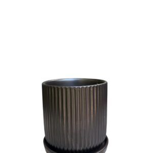 כלי קוטר 12 שחור פסים