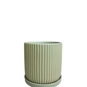 כלי קוטר 12 לבן פסים נקודות