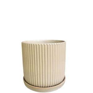 כלי קוטר 15 שמנת פסים