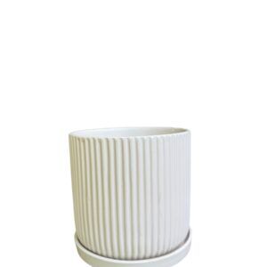 כלי קוטר 15 לבן פסים