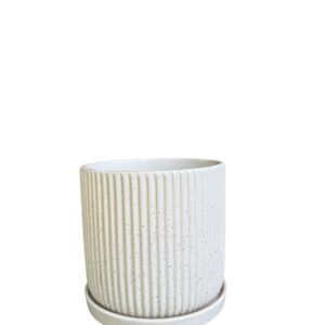 כלי קוטר 15 לבן פסים נקודות