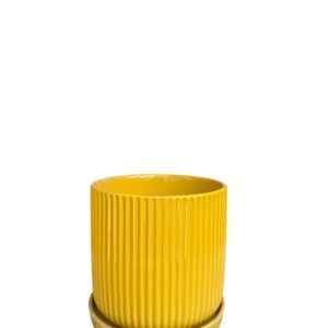 כלי קוטר 15 צהוב פסים