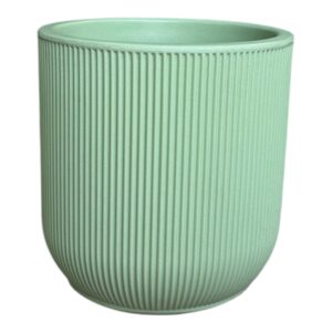 כלי שתילה פלסטיק גדלים שונים- ירוק פסים בהיר