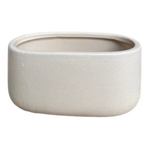 אדנית איריס 45 אובלית